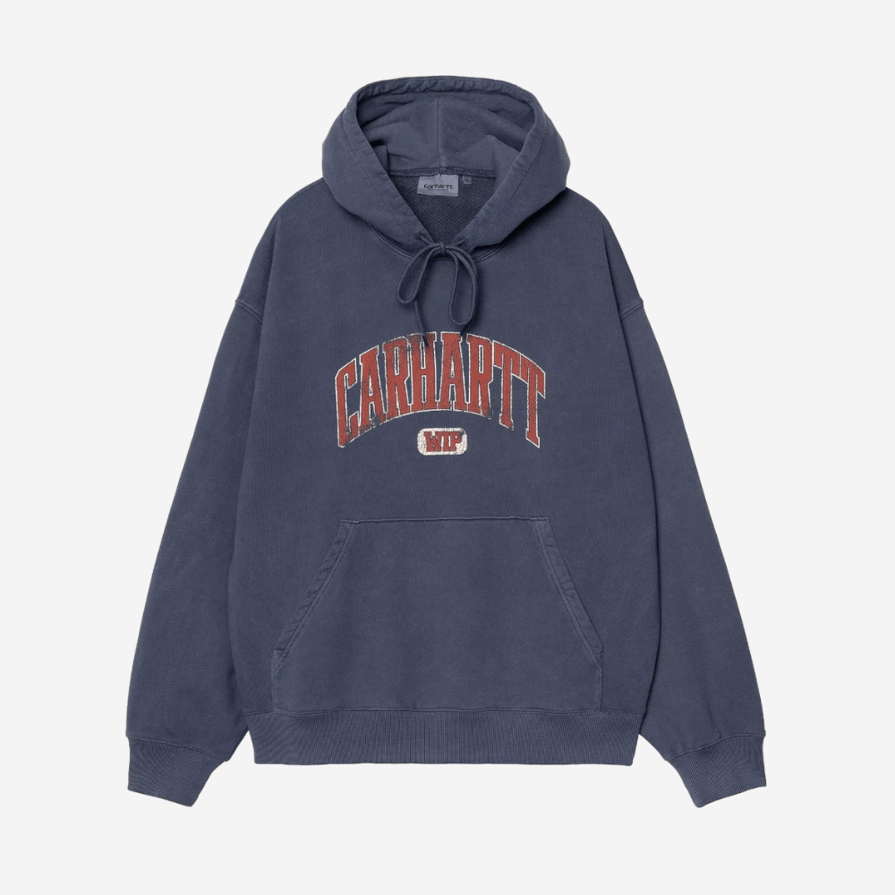 Felpa Carhartt Hooded Library ink garment dyed