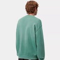 Felpa Carhartt Hudson Saguaro blk chalck wahed