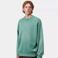 Felpa Carhartt Hudson Saguaro blk chalck wahed