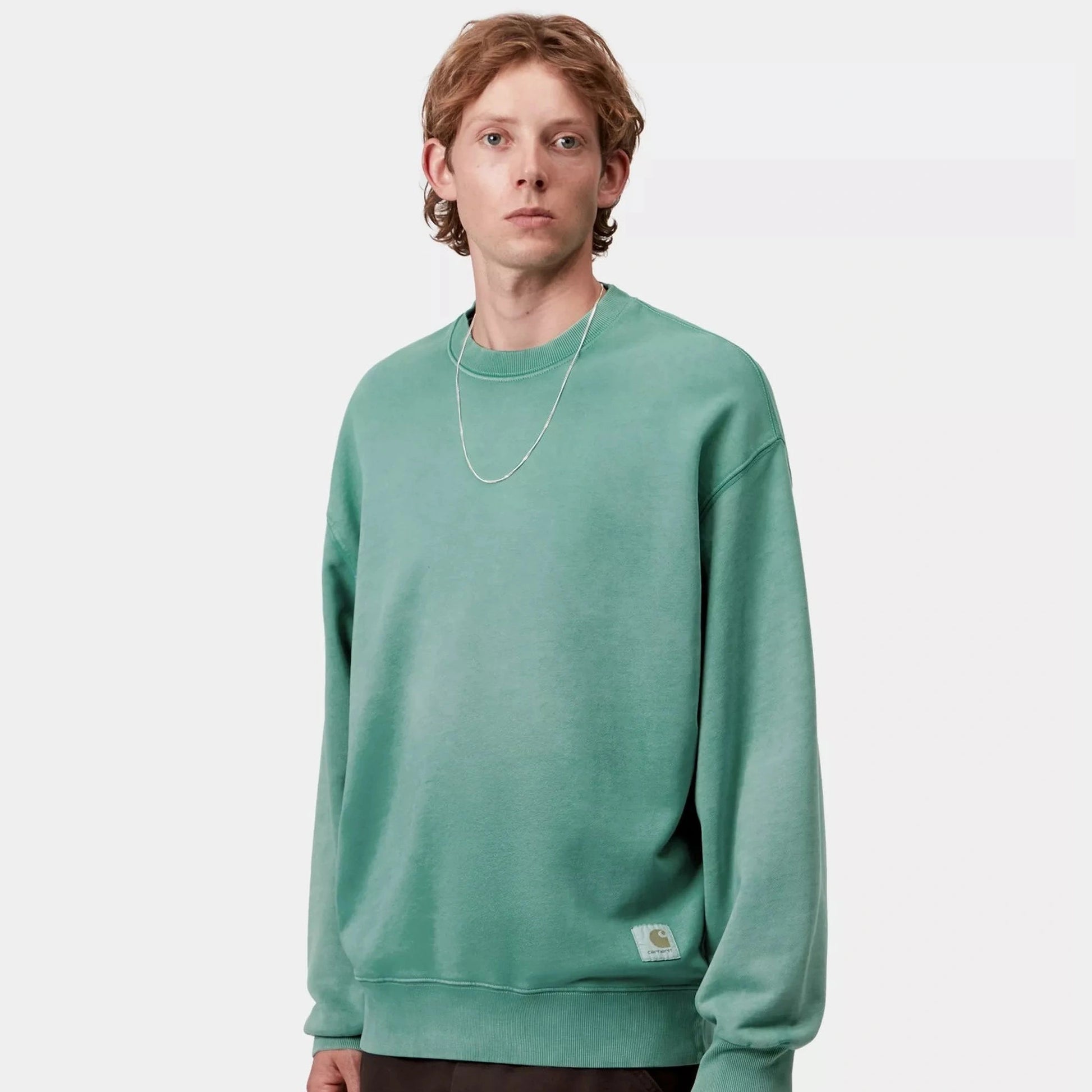 Felpa Carhartt Hudson Saguaro blk chalck wahed