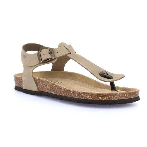 Grunland Sara Kaki SB6001