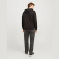 Jeans Jack & Jones Eddie Wade 348 black denim