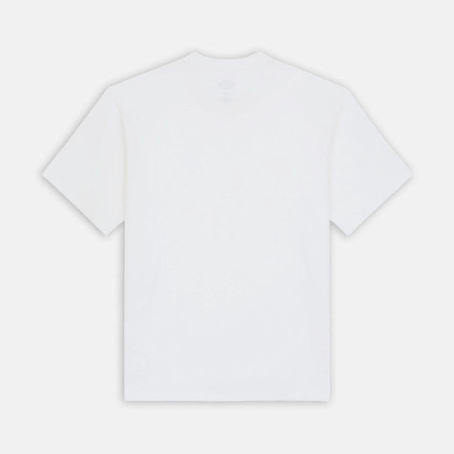 Maglietta T-shirt Dickies Clancy Heavyweight white