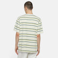 Maglietta T-shirt Dickies Glad Spring white stripe