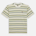Maglietta T-shirt Dickies Glad Spring white stripe
