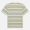 Maglietta T-shirt Dickies Glad Spring white stripe