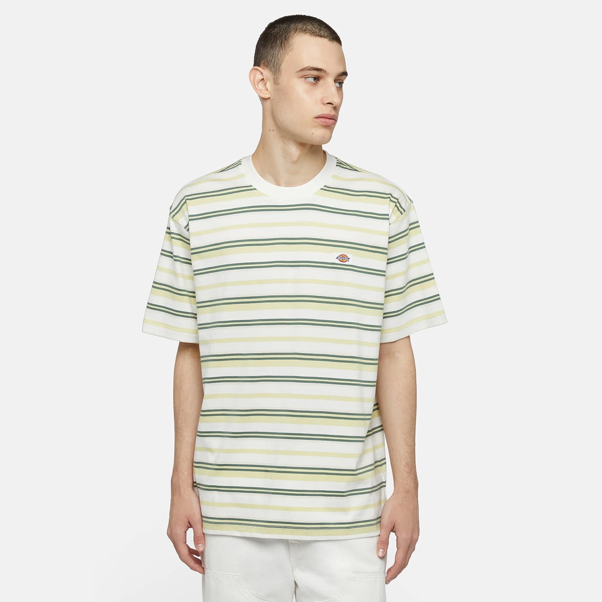 Maglietta T-shirt Dickies Glad Spring white stripe