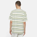 Maglietta T-shirt Dickies Glad Spring white stripe