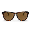Occhiali CHPO Bodhi turtle brown 16131SD