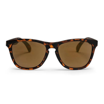 Occhiali CHPO Bodhi turtle brown 16131SD
