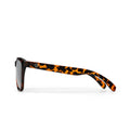 Occhiali CHPO Bodhi turtle brown 16131SD