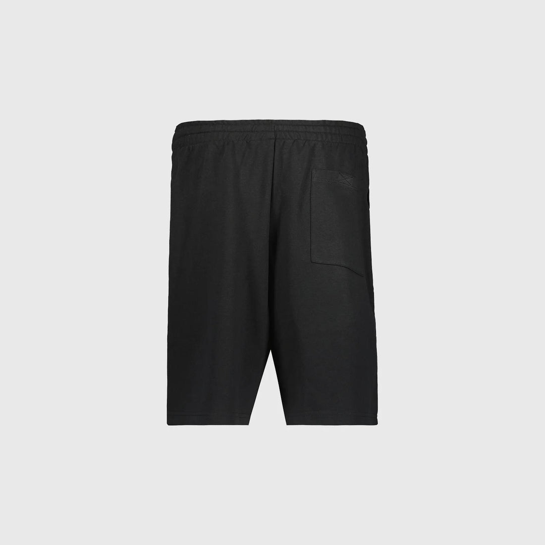Shorts Bear Small Logo black