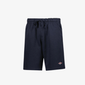 Shorts Bear Small Logo sky captain