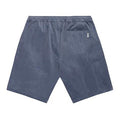Shorts Irie Daily Corvin Short Grey Blue