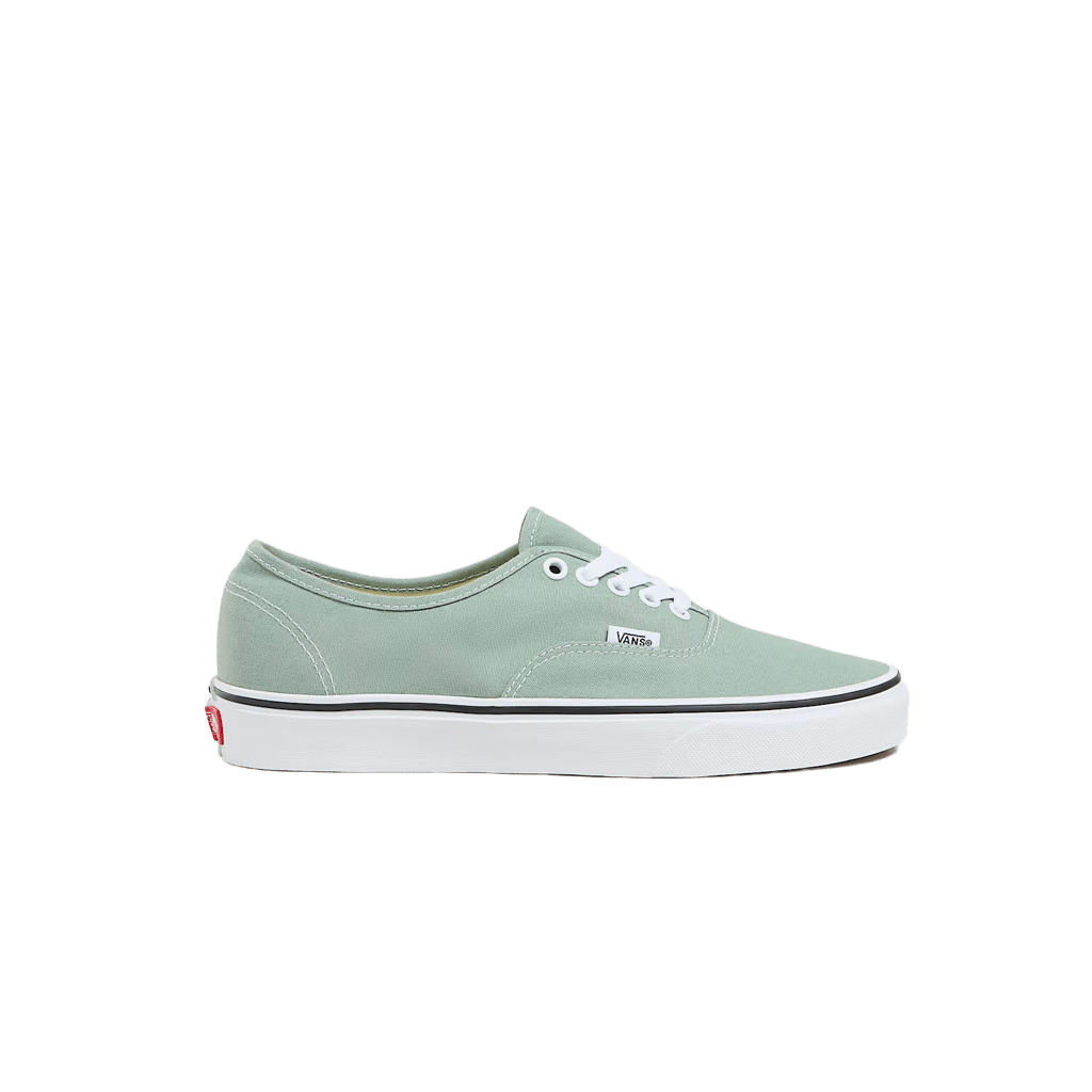 Sneakers Vans Authentic grey