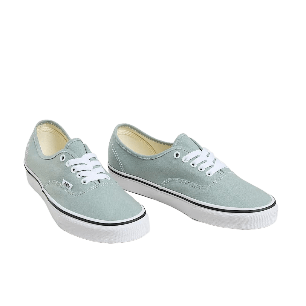 Sneakers Vans Authentic grey