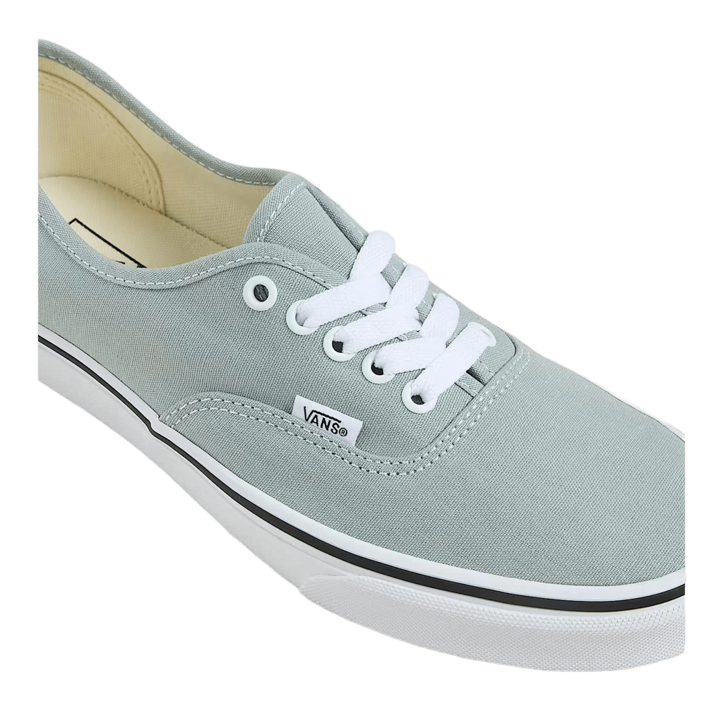 Sneakers Vans Authentic grey
