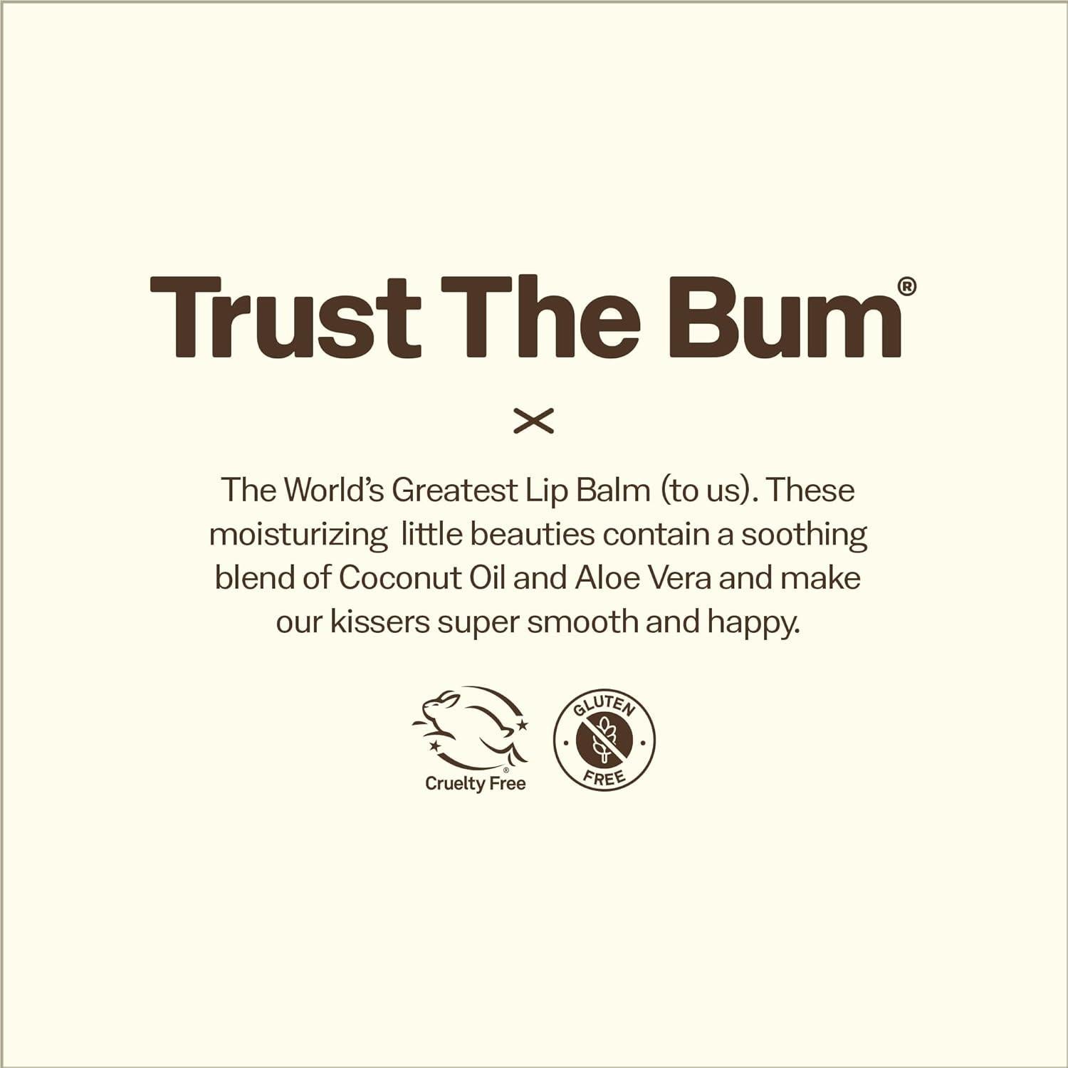 Sun Bum CocoBalm Moinst Lip Balm Pina Colada