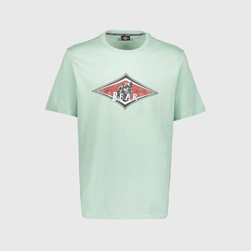T-shirt Bear Big Logo lichen