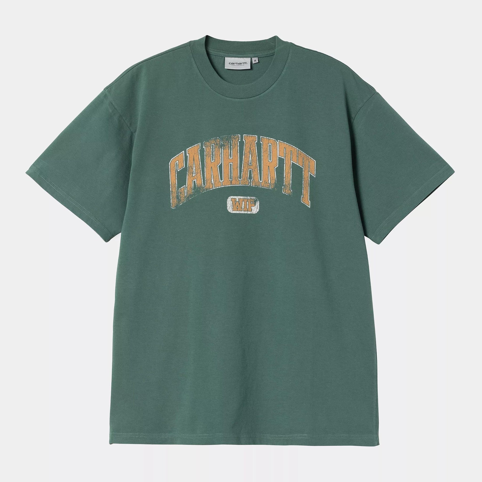 T-shirt Carhartt Lecture silver pine wash