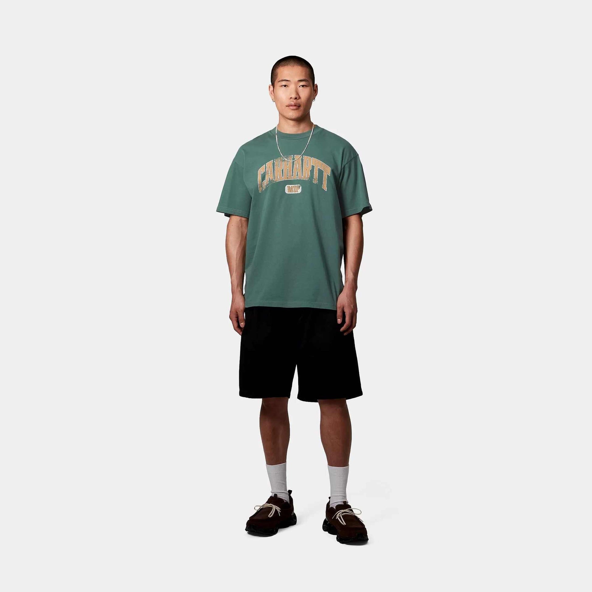 T-shirt Carhartt Lecture silver pine wash