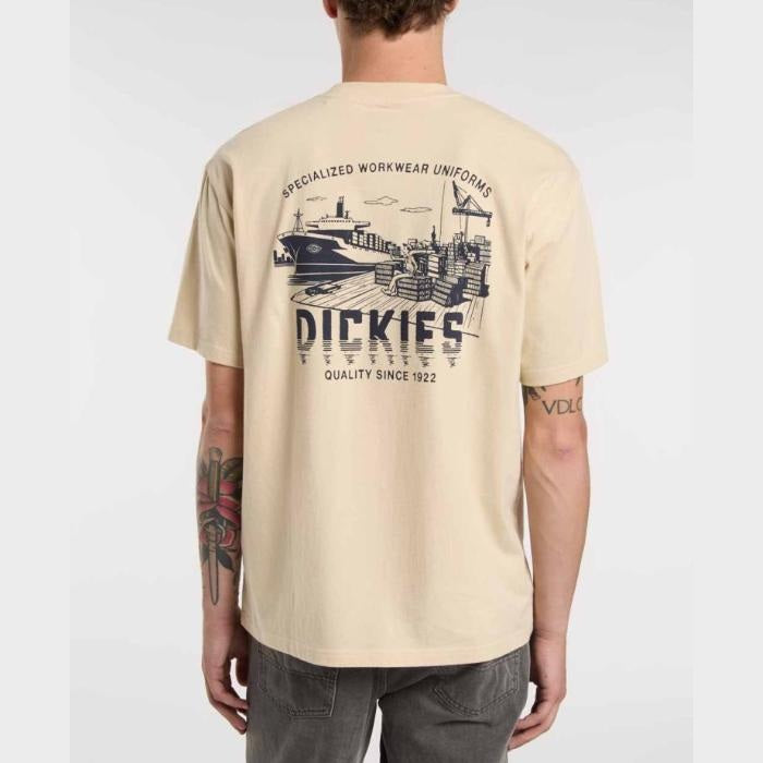 T-shirt Dickies Pelham Wood Ash