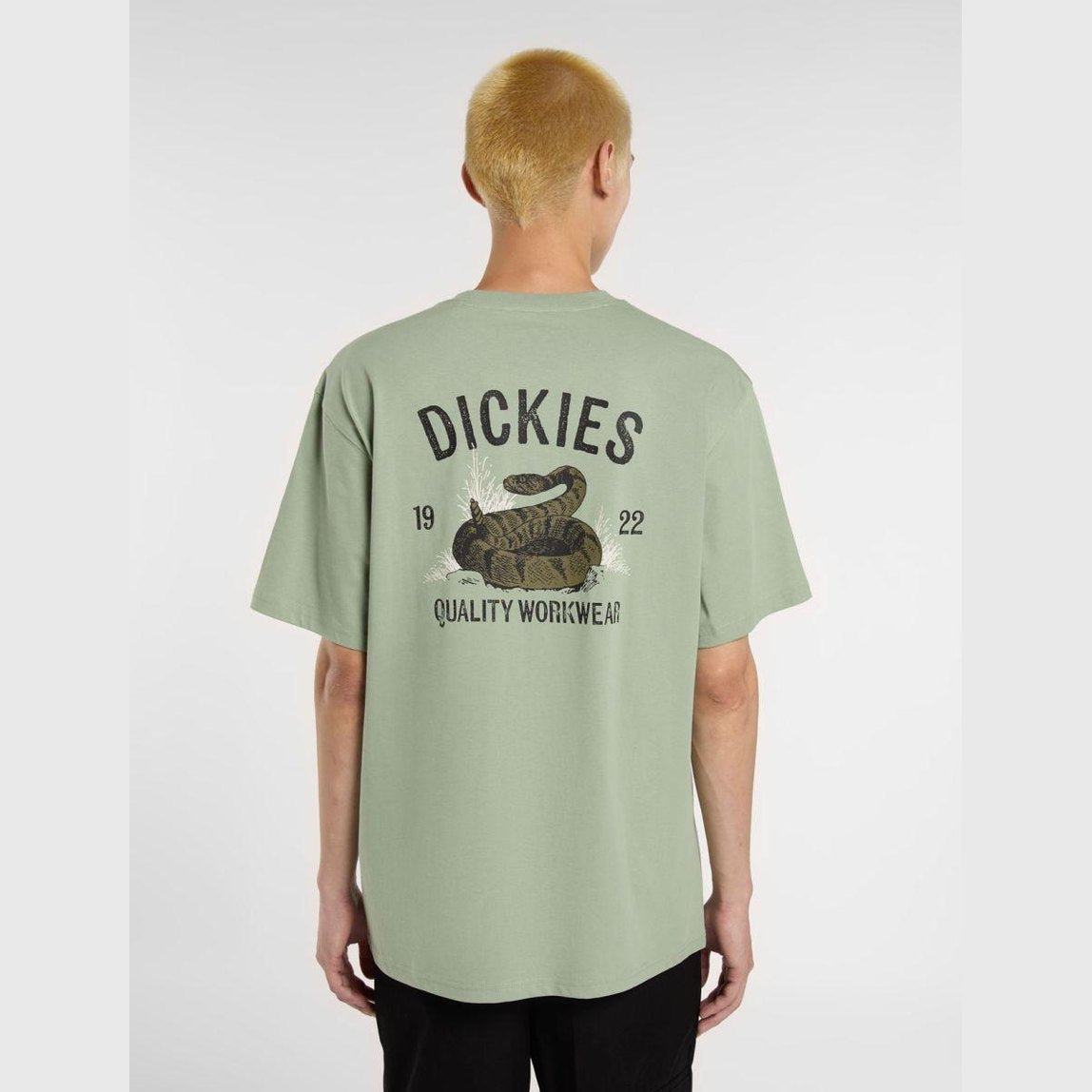 T-shirt Dickies Snake iceberg grey