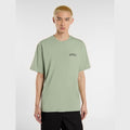 T-shirt Dickies Snake iceberg grey