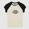 T-shirt Dickies W Forth Shaw Blk