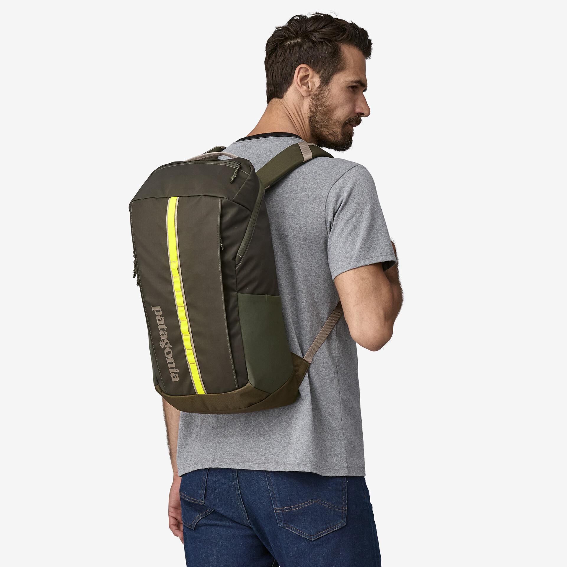 Zaino Patagonia Black Hole Pack 25L pine needle green